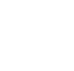 misterwood-logo